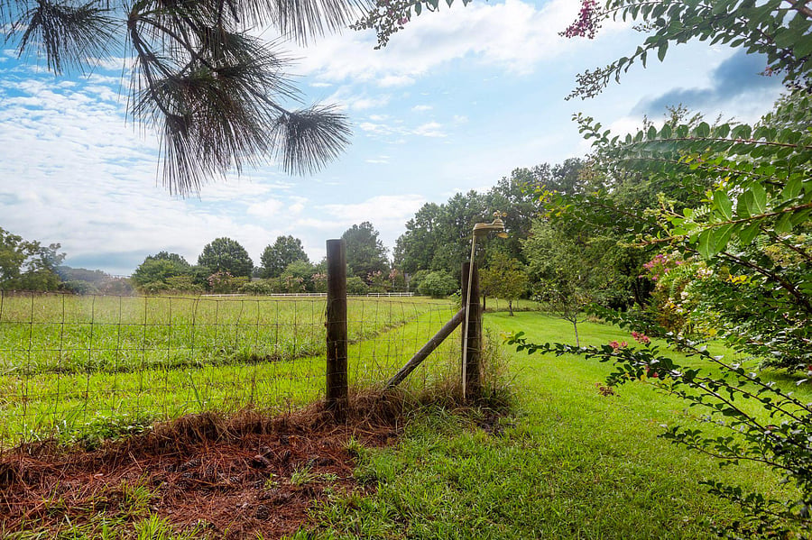 Field