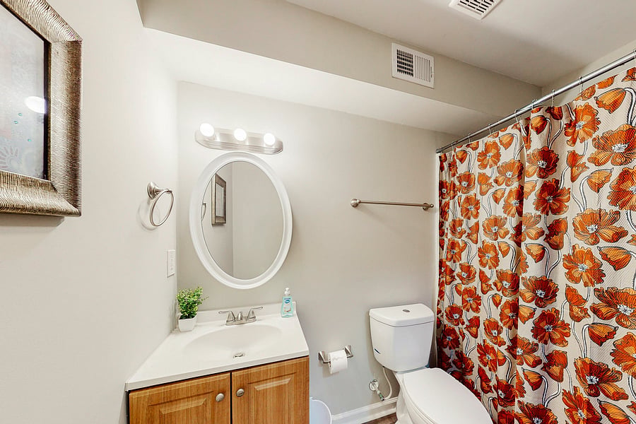 Basement Bathroom