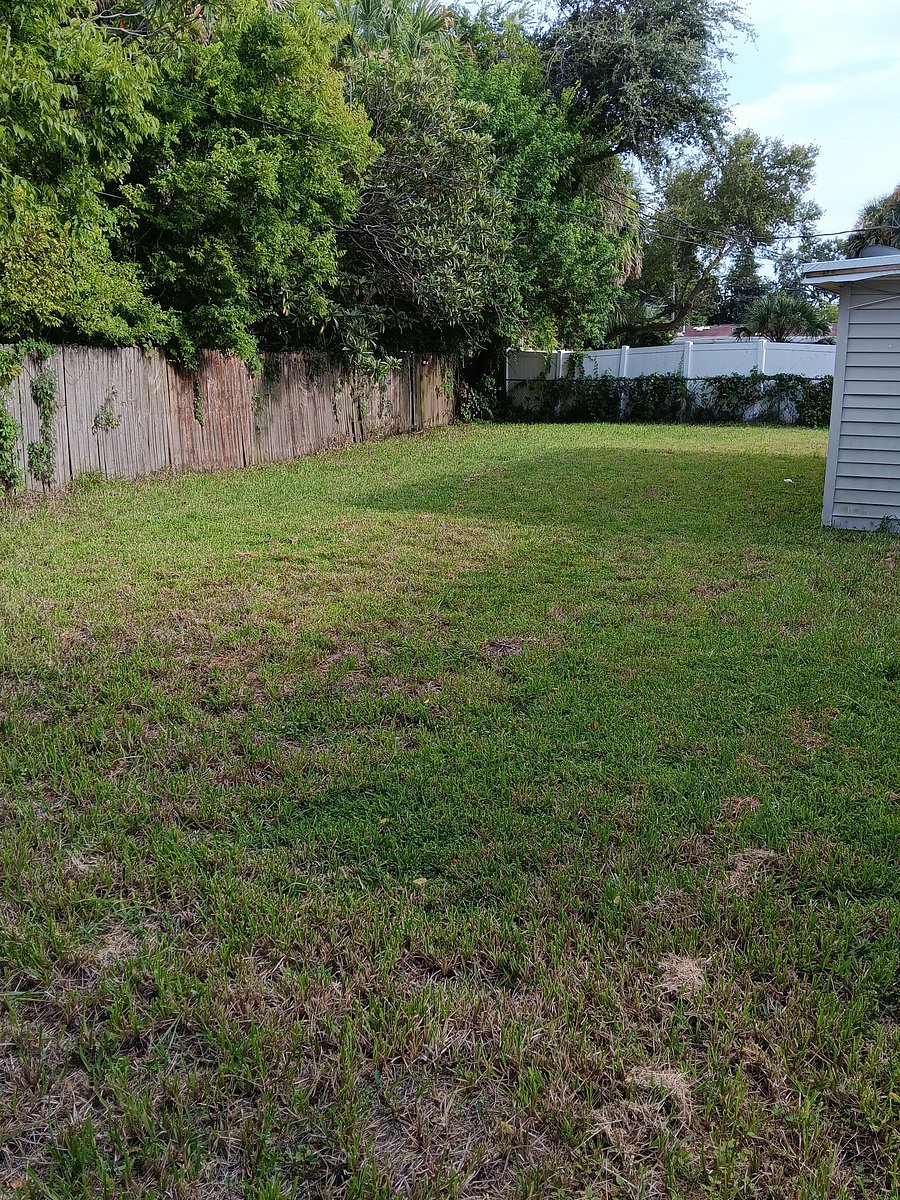 Backyard Bliss