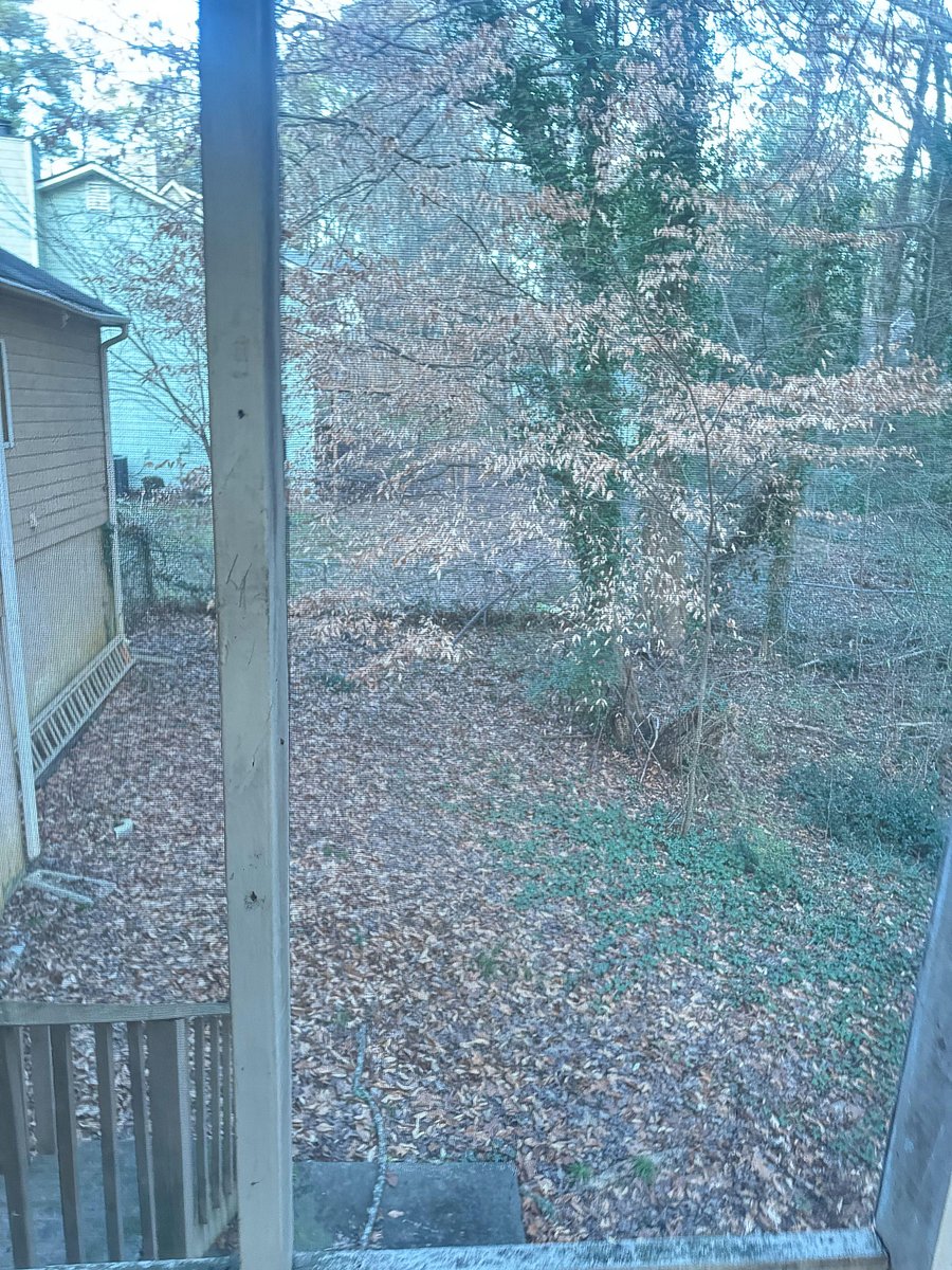Fenced Backyard