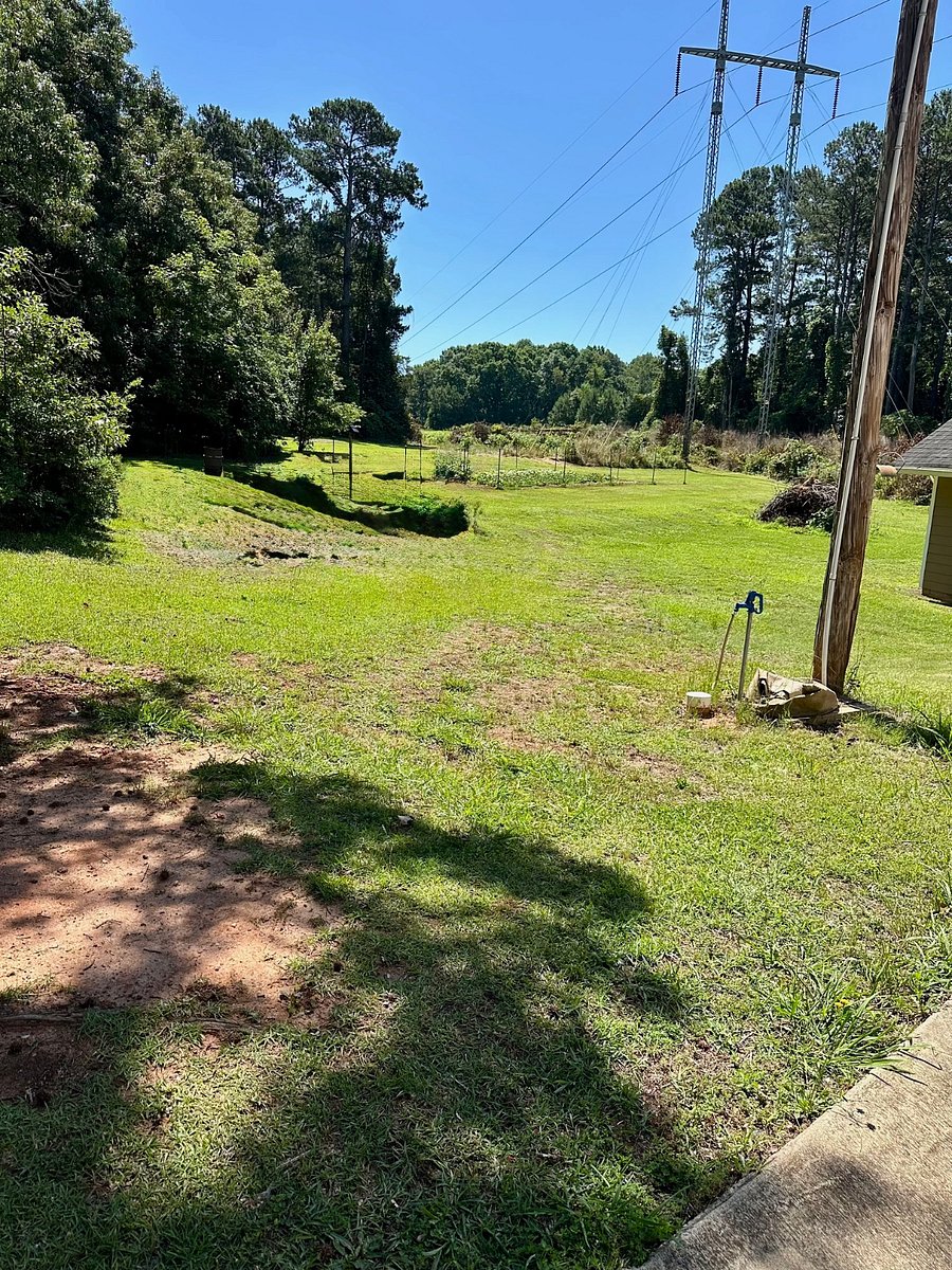 Over 2 acers of land. This is view from front door. 