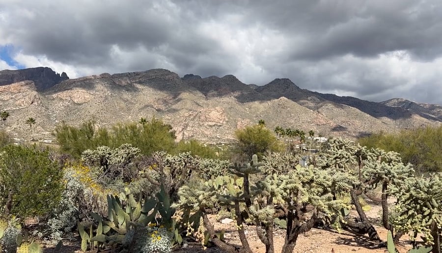 View of the Santa Catalinas 9,000 feet