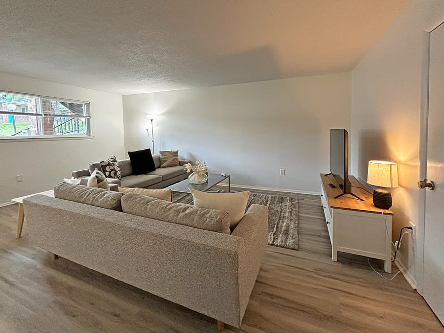 Living room with West Elm couch and brand new 55" Roku Smart TV.