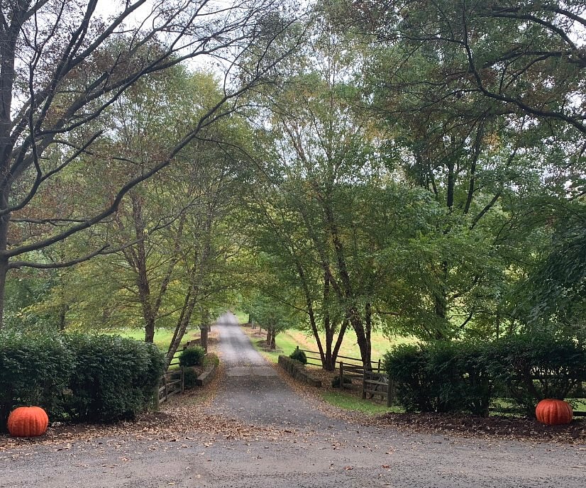 Driveway to property