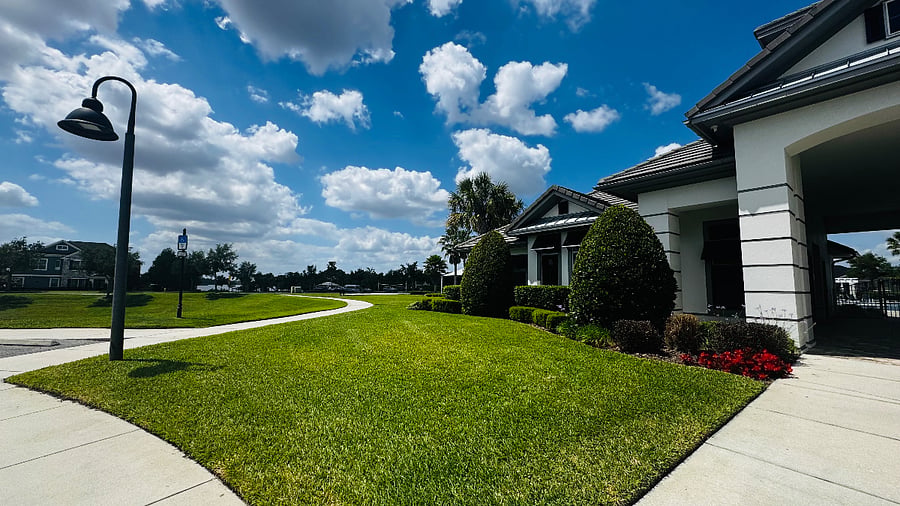 Furnished Finder property 984581_1 photo 9