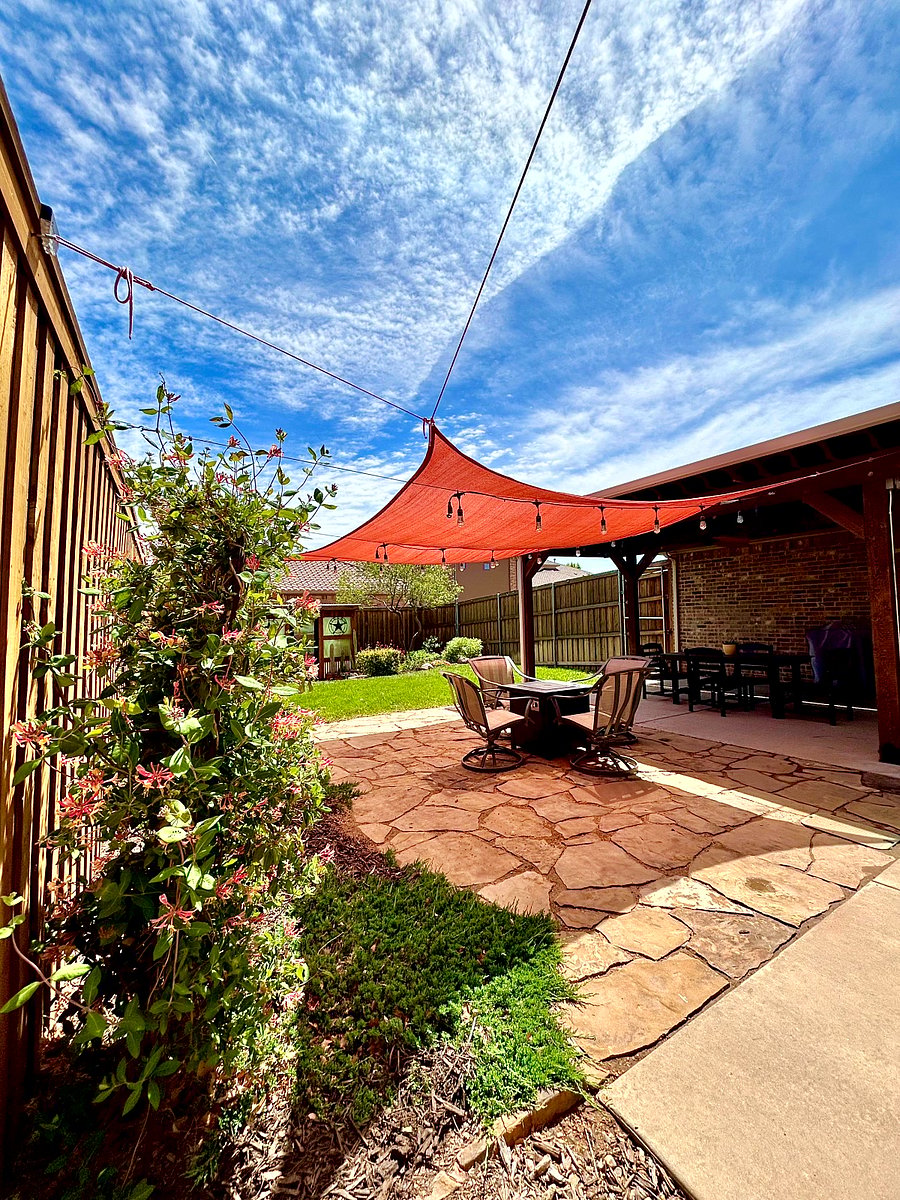 Backyard Oasis