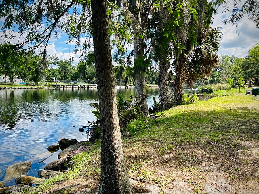 A random manatee or alligator sighting is always possible ( Epps Park )