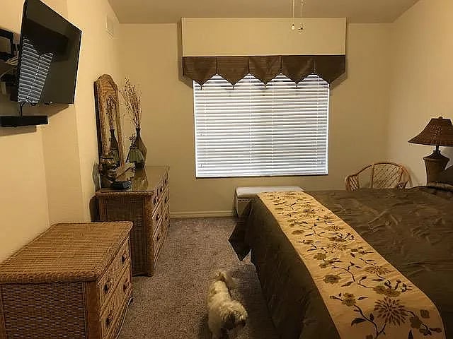 Furnished Finder property 984768_1 photo 13