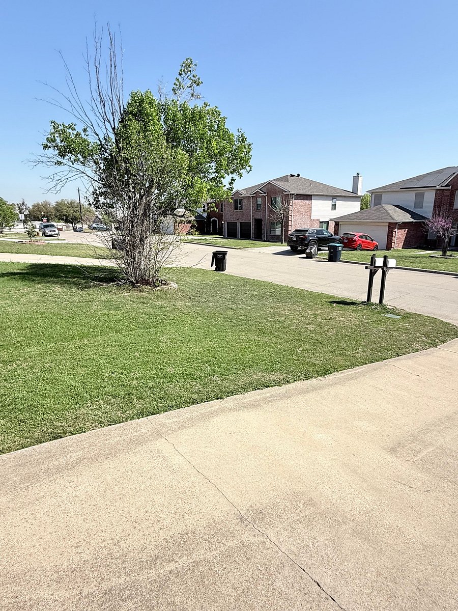 Neighborhood looking left from garage.
