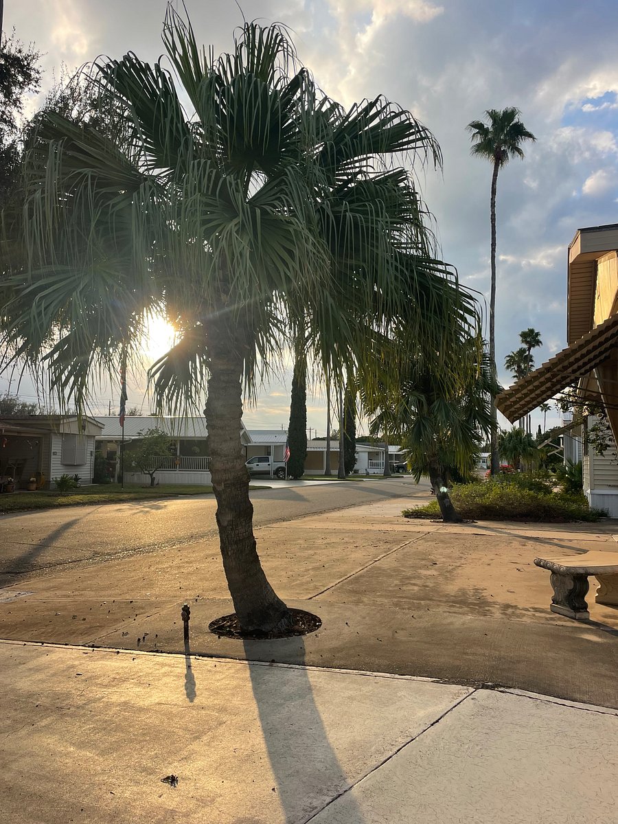 enjoy the sunsets from the carport! 