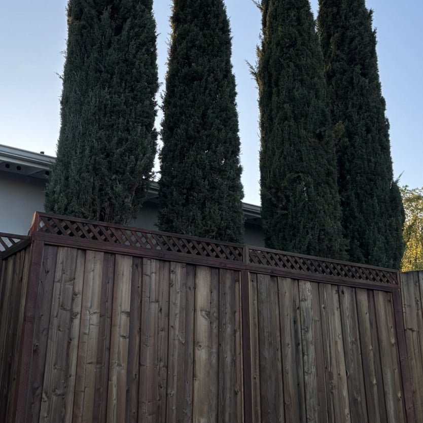 View of the front of the property when you drive up