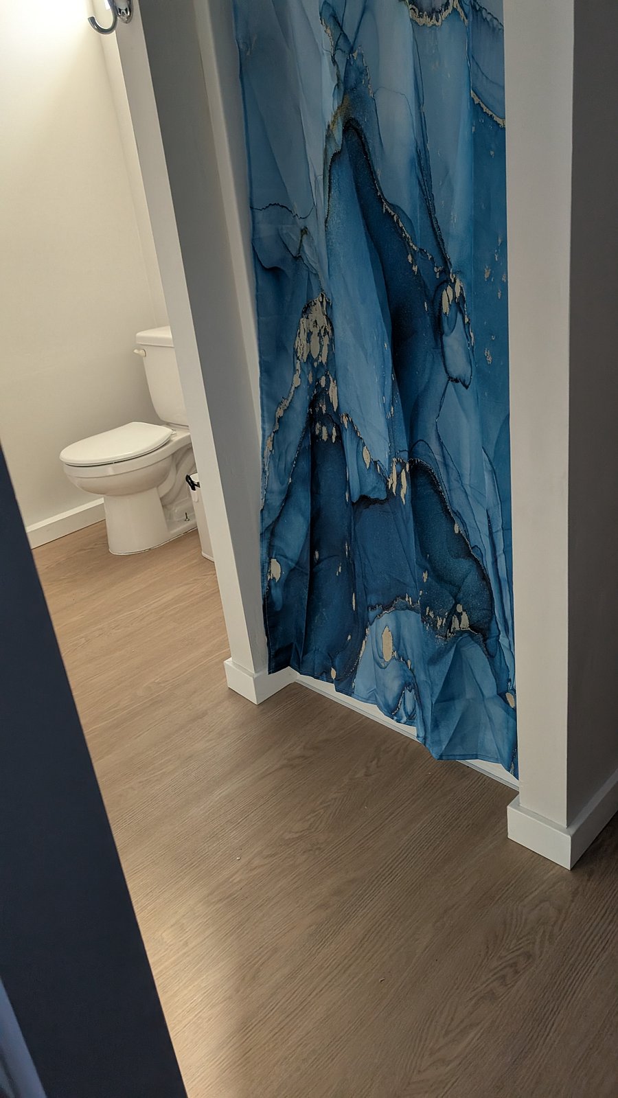This photo shows the shower curtain and the end of the toilet as you come around the corner from the main room.