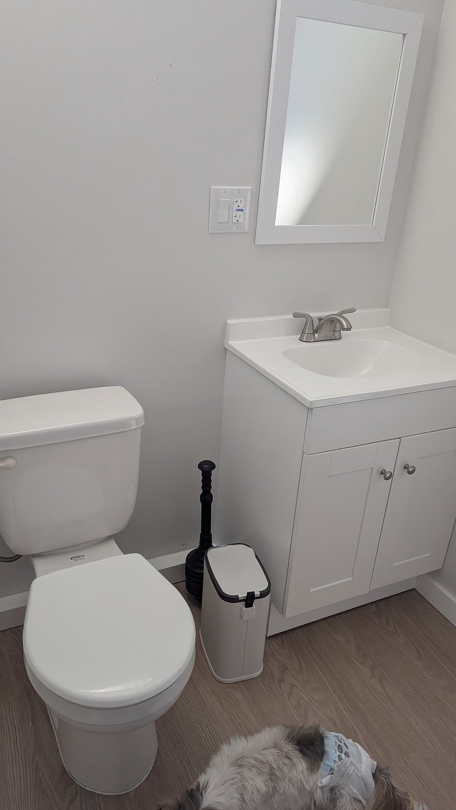 This picture shows the sink and toilet. So essentially the toilet sink and shower are in a row in the bathroom. That's the extent of the space in there.