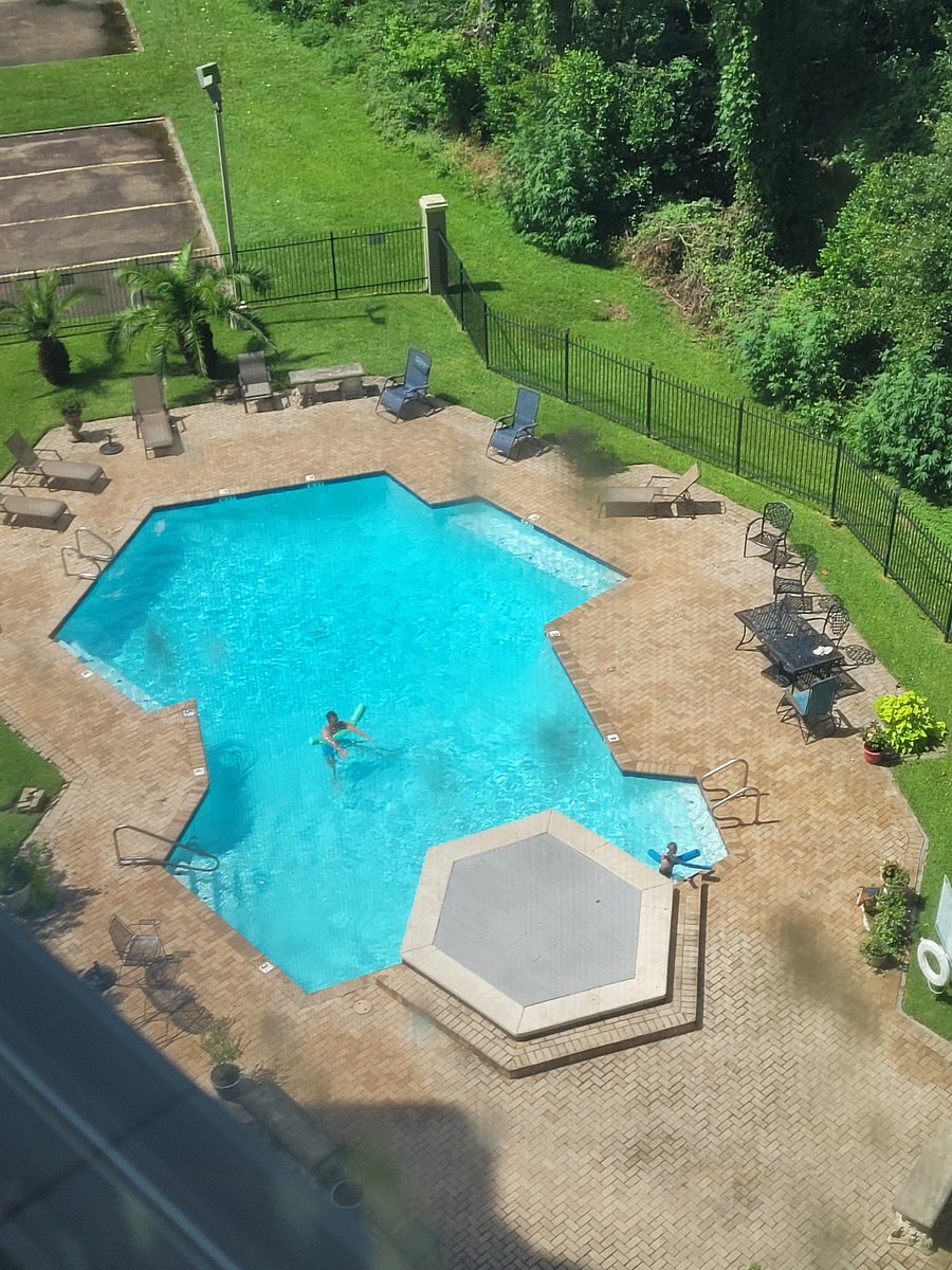 Furnished Finder property 985109_1 photo 18
