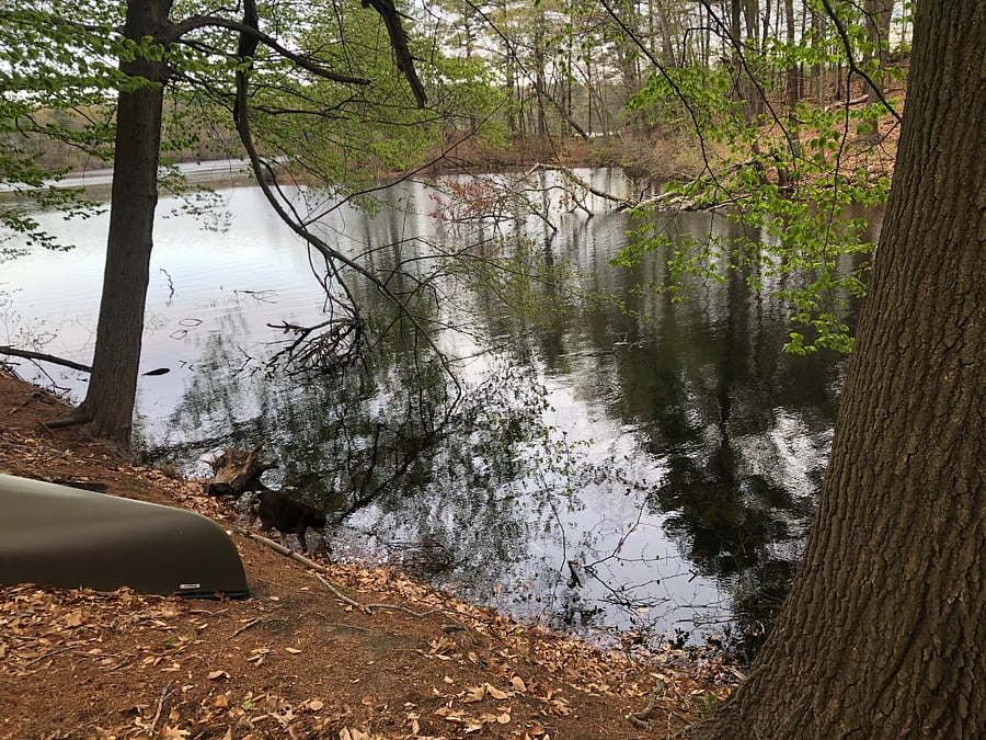 Lake Cochituate in backyard