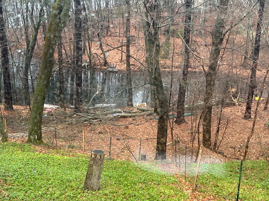 Lake Cochituate in backyard