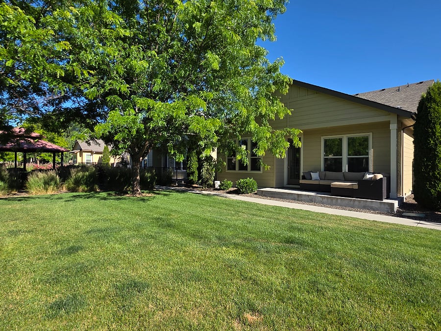 Shared backyard among neighbors. It's long and narrow, stretching to both streets