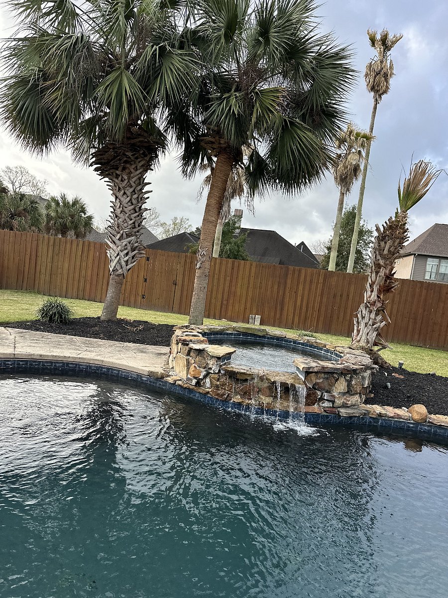 Spa/Waterfall in backyard