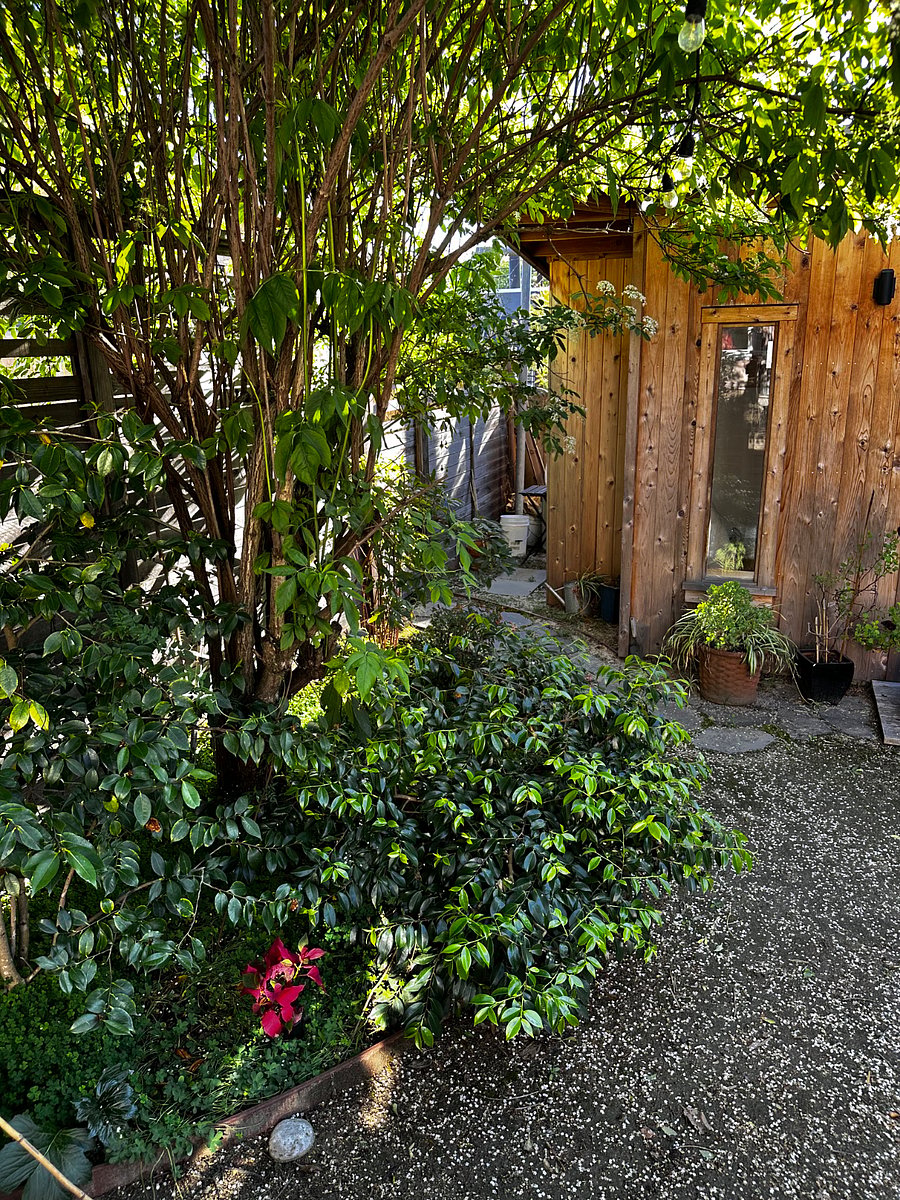 Furnished Finder property 985386_1 photo 5