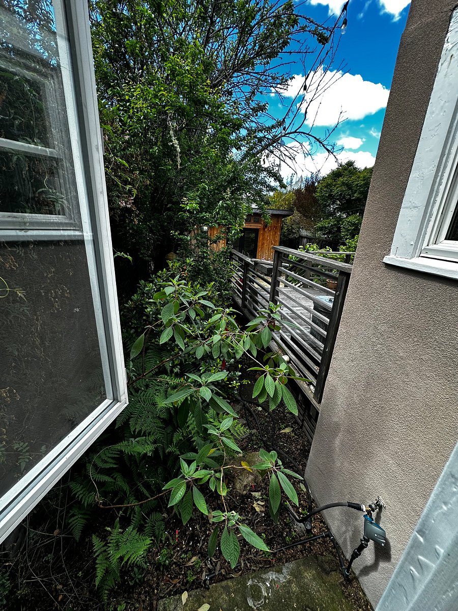 View of the garden from bedroom 2