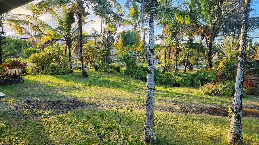 Furnished Finder property 985405_1 photo 9