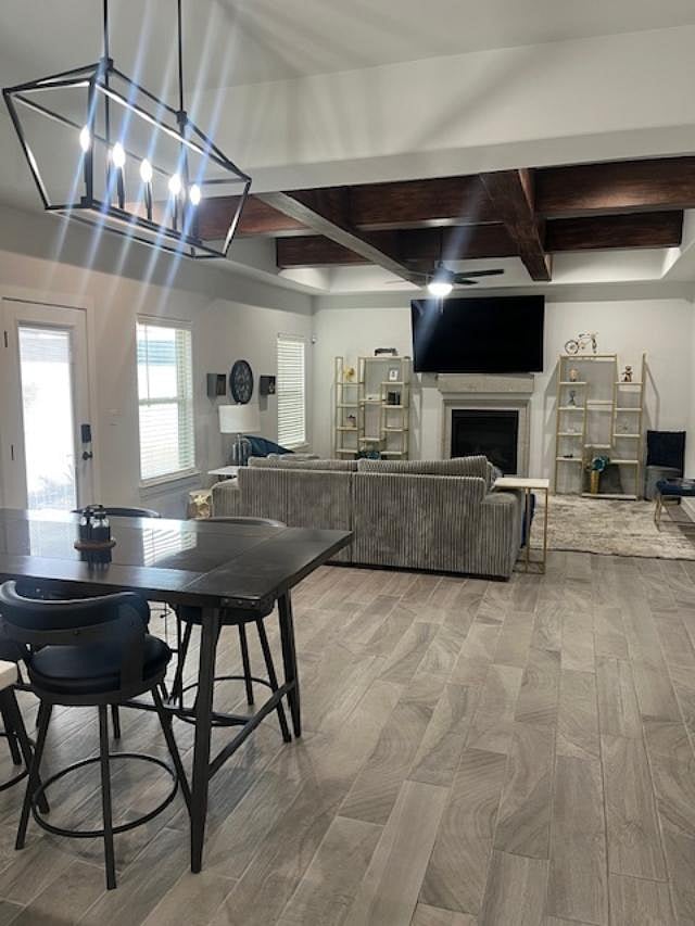 Shared Dinning and Living Room