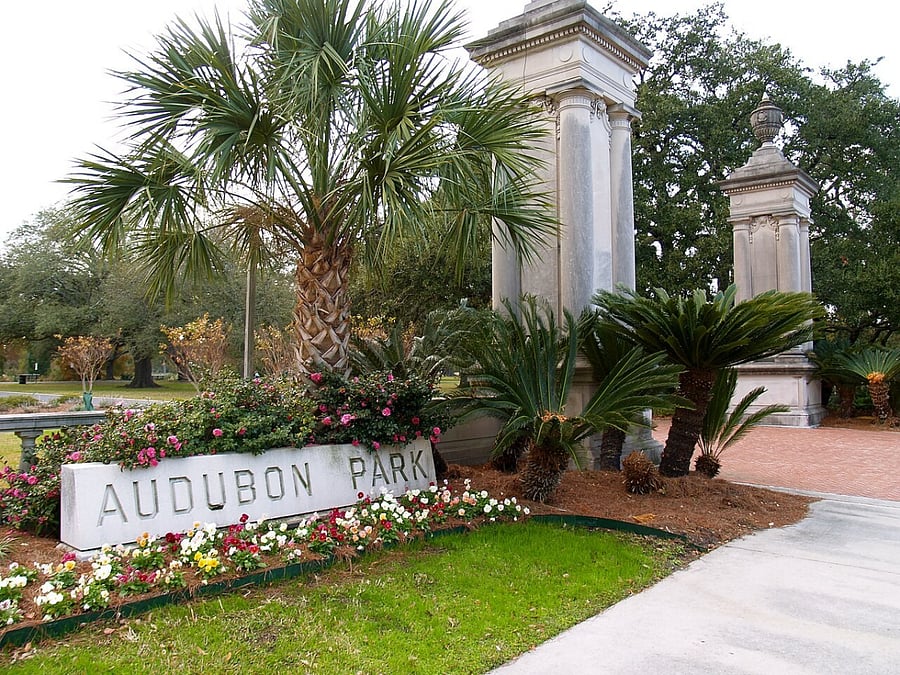 You're one block from Audubon Park. Walk, bike, play golf, visit the zoo. And at the top of the park is Loyola and Tulane Universities.