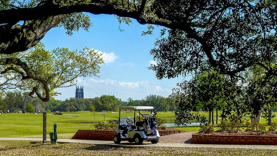 Play golf in Audubon park
