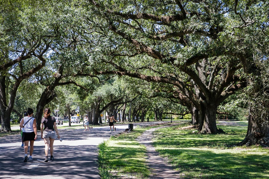 Walking, run, bike - maybe ever roller skate on the path that covers the entire park.