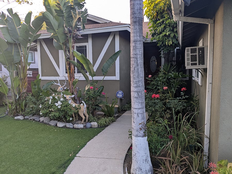 Front Garden.