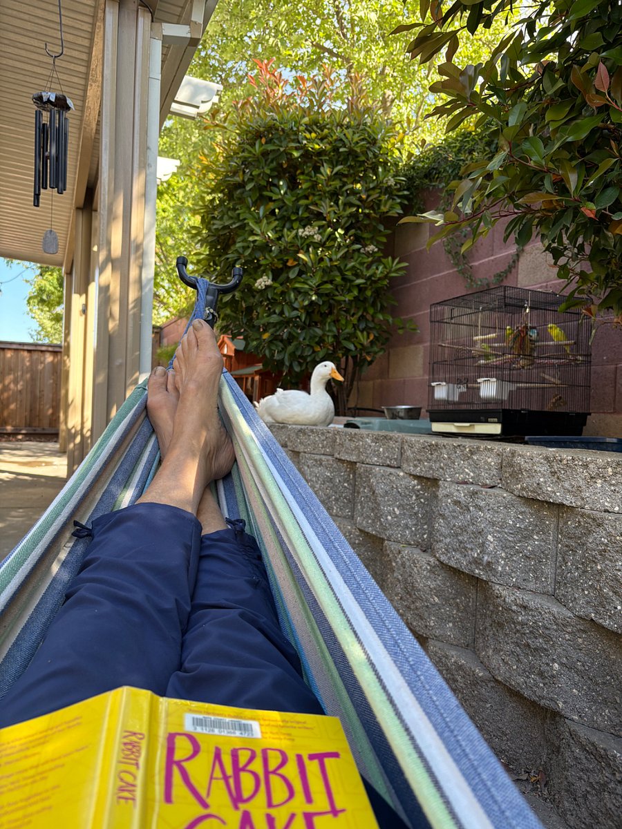 Reading in my hammock in the backyard, enjoying my parakeets and ducks!