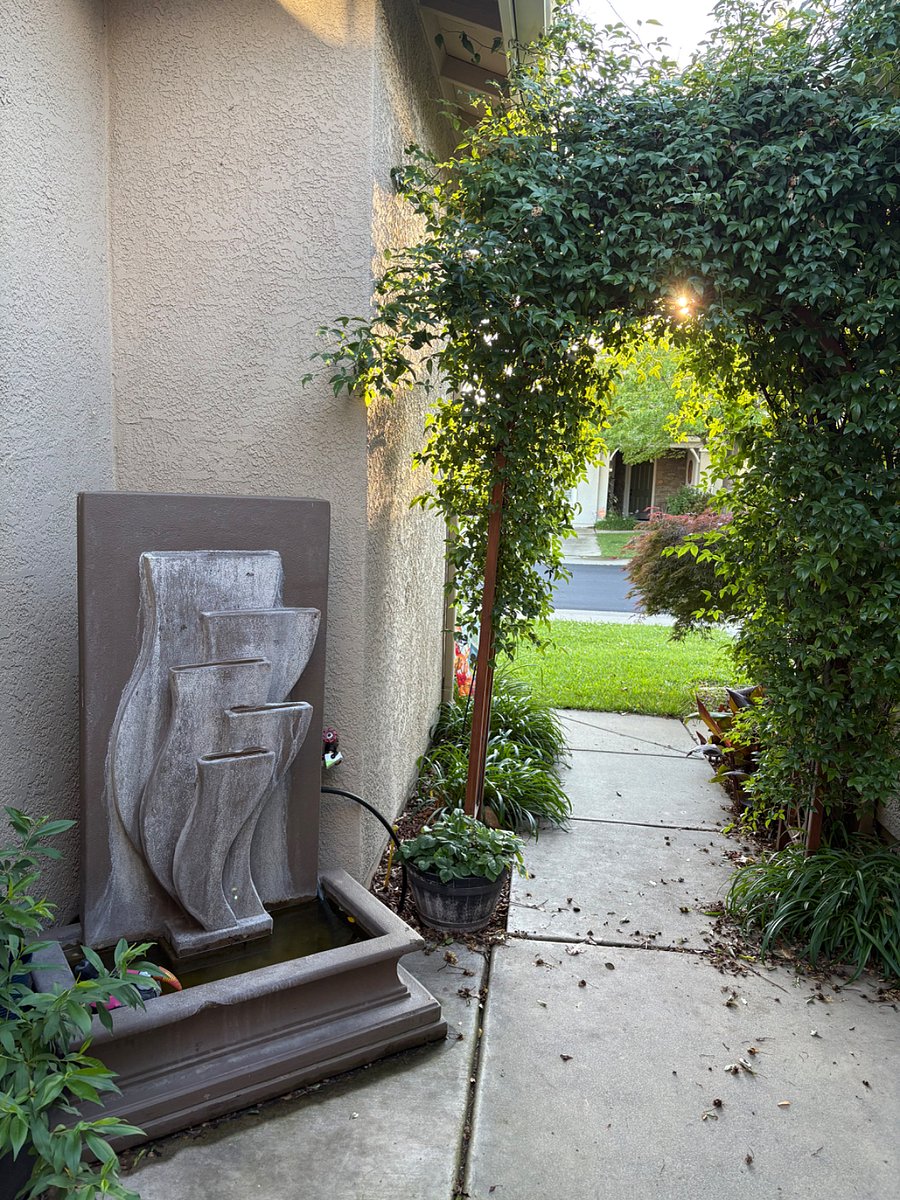 This is the view out the front door toward the street. There is a cool water feature on the left (that has goldfish) and you can see the windows that line the hallway back to the bedrooms.