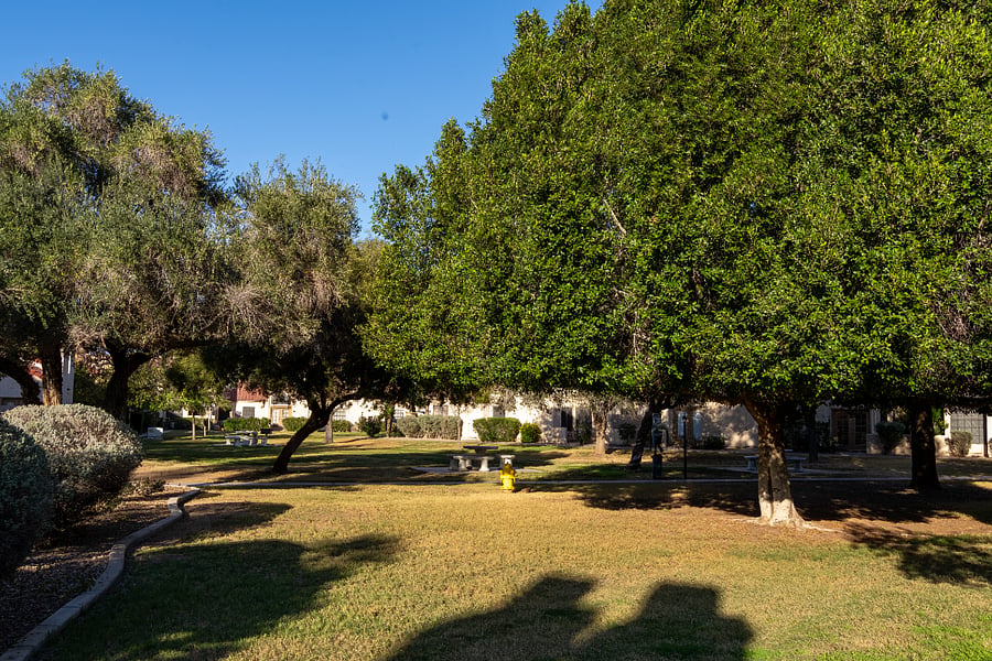 shared front yard
