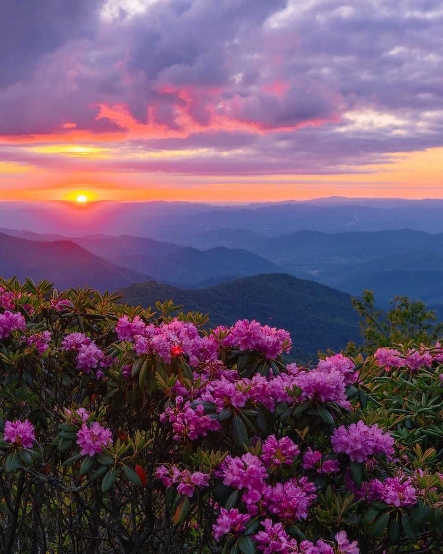 Blueridge Parkway