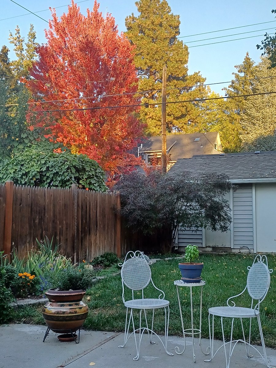 Back patio
