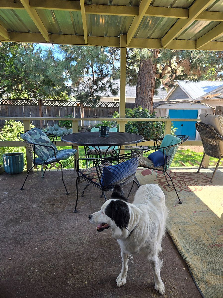 Back porch