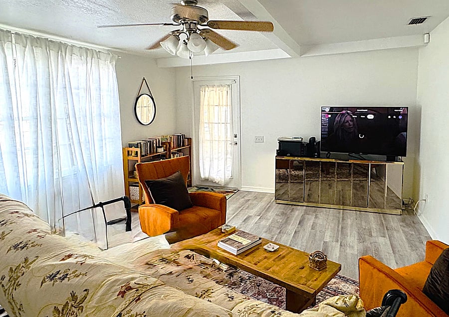 TV room/library