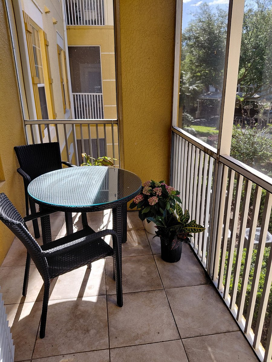 Furnished Finder property 986066_1 photo 3