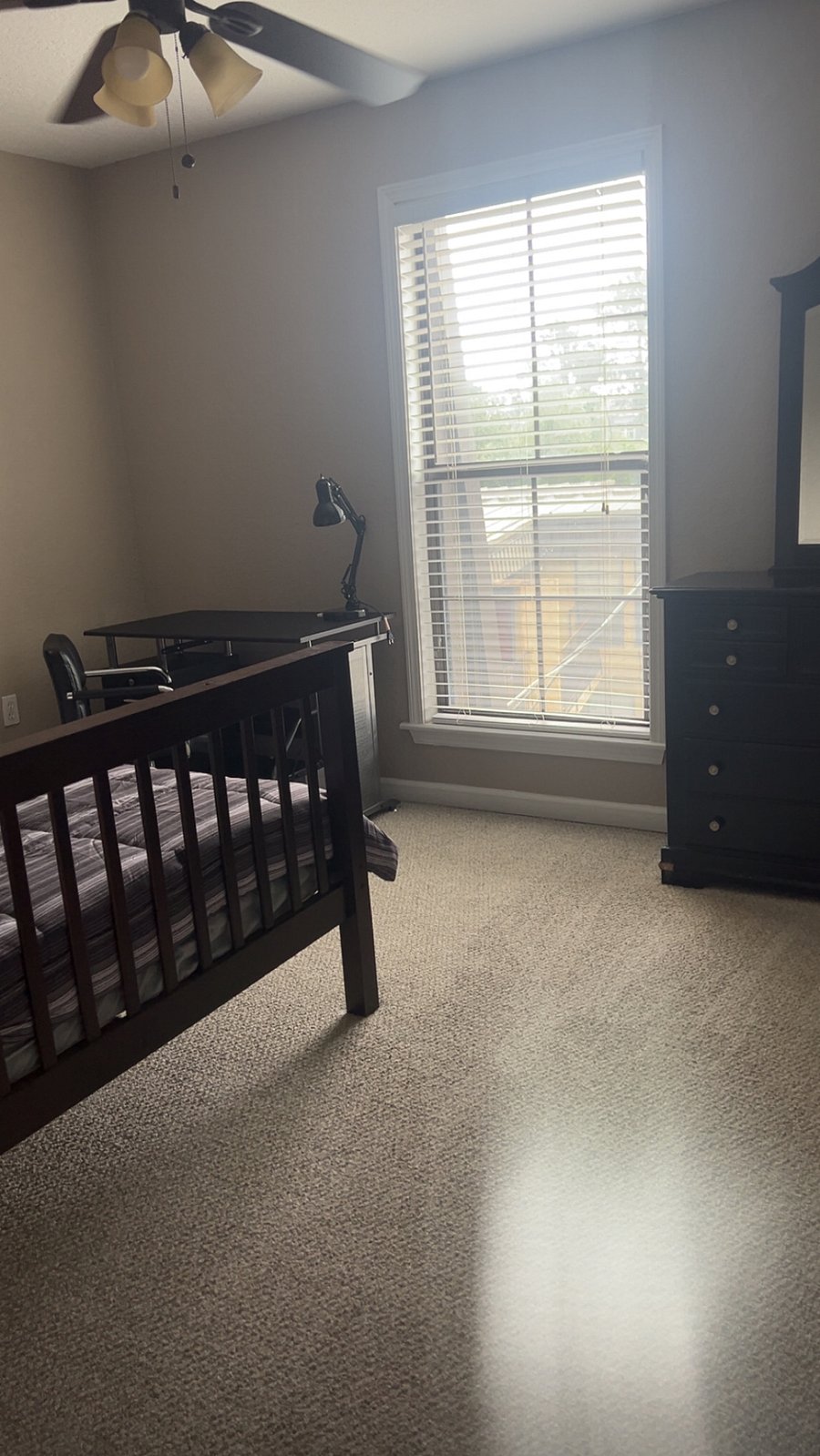 Furnished Finder property 986079_1 photo 8