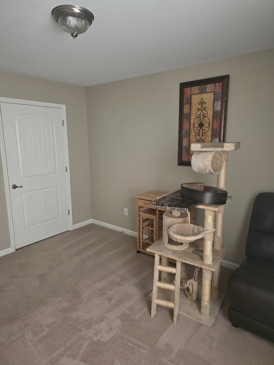 Furnished Finder property 986228_1 photo 20