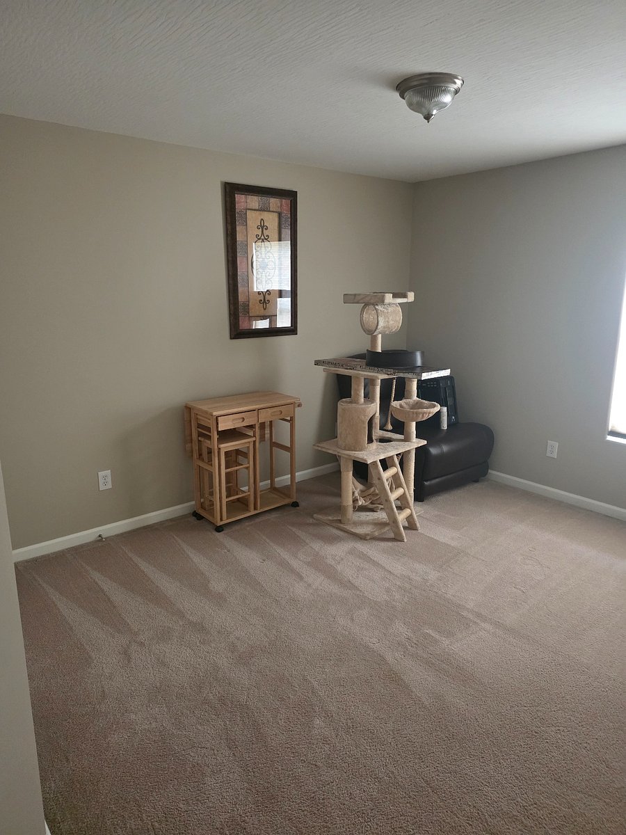 Furnished Finder property 986228_1 photo 21