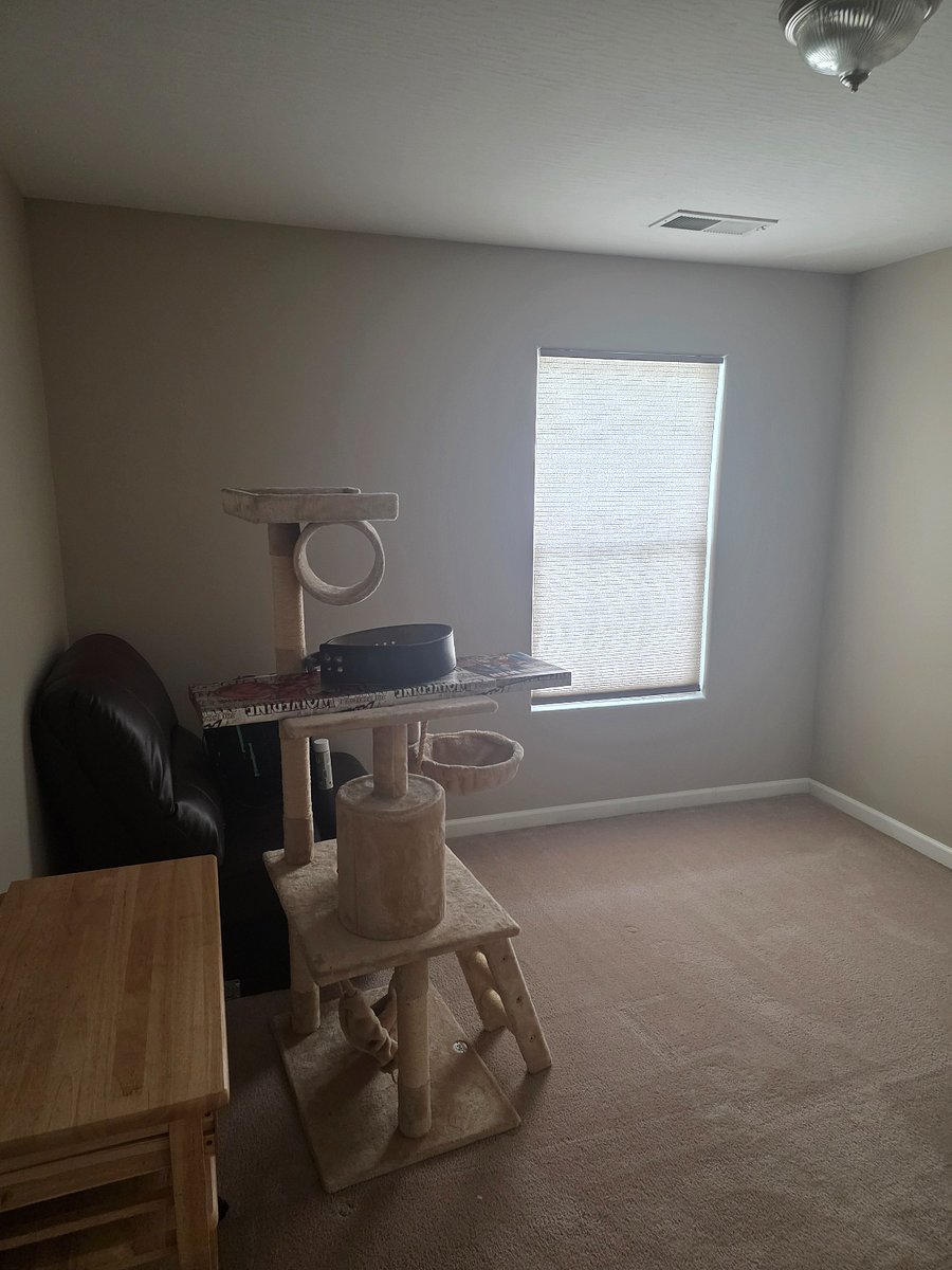 Furnished Finder property 986228_1 photo 22