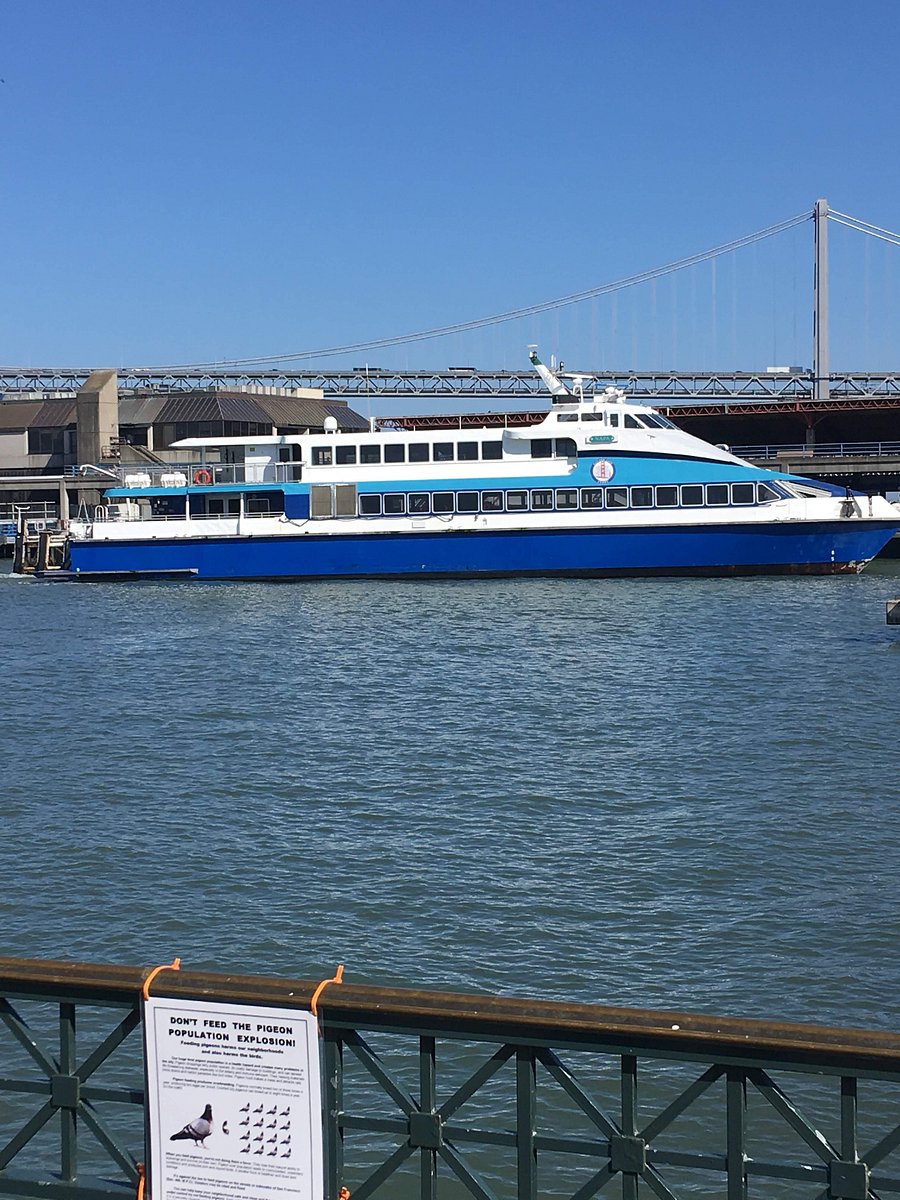 Alameda Seaplane lagoon, or schedules: https://sanfranciscobayferry.com/routes-schedules/oakland-alameda/ f