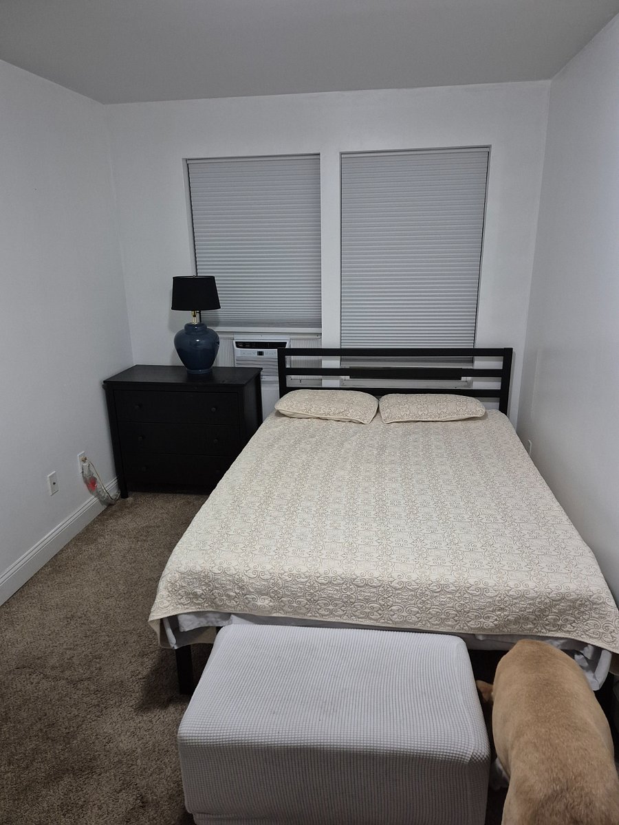 Furnished Finder property 986285_1 photo 15