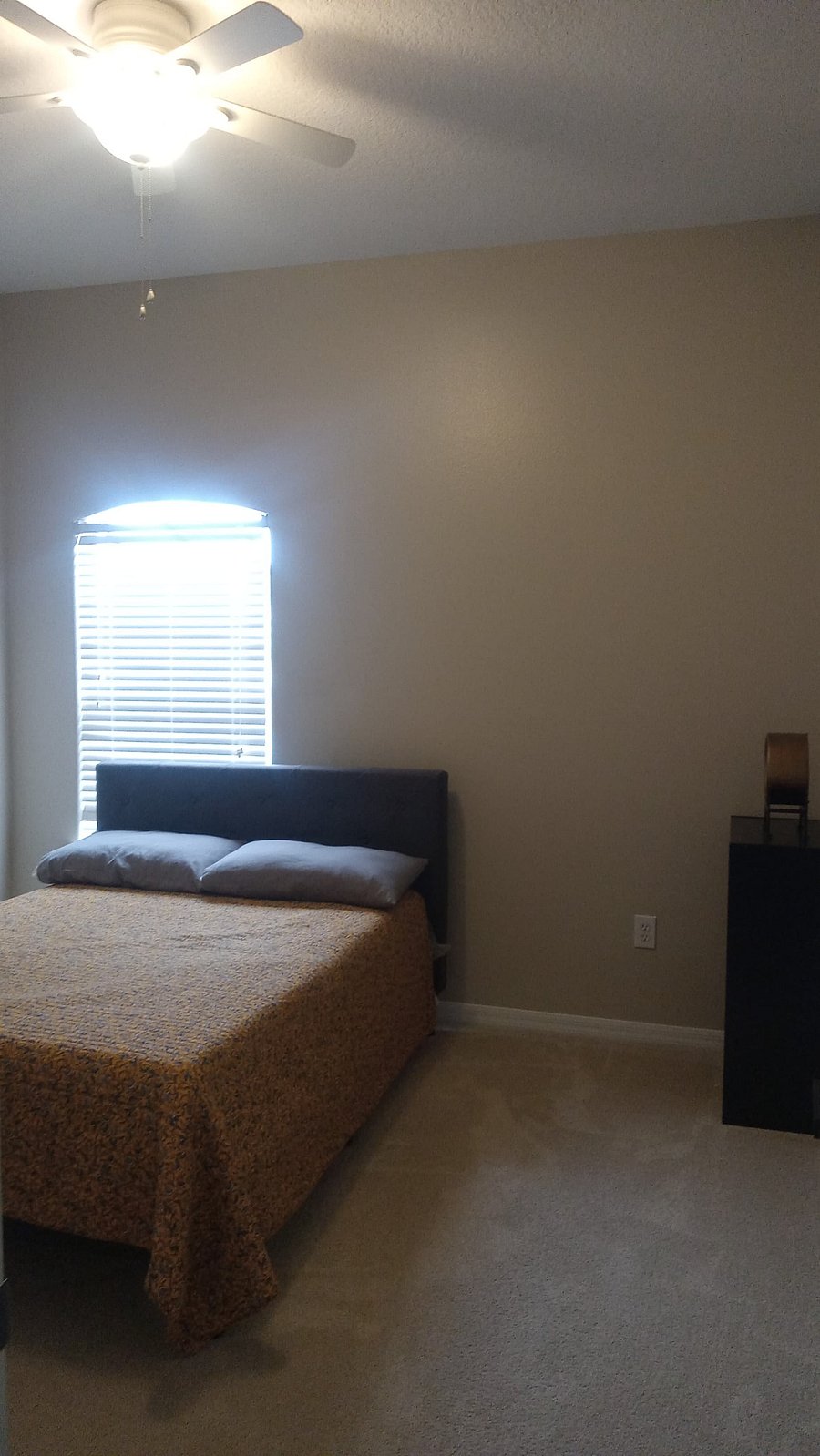 Furnished Finder property 986310_1 photo 7