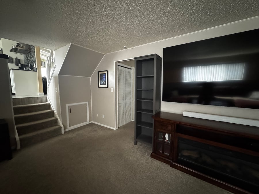 TV/Entertainment Room