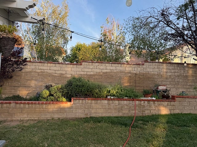 We have an herb garden 