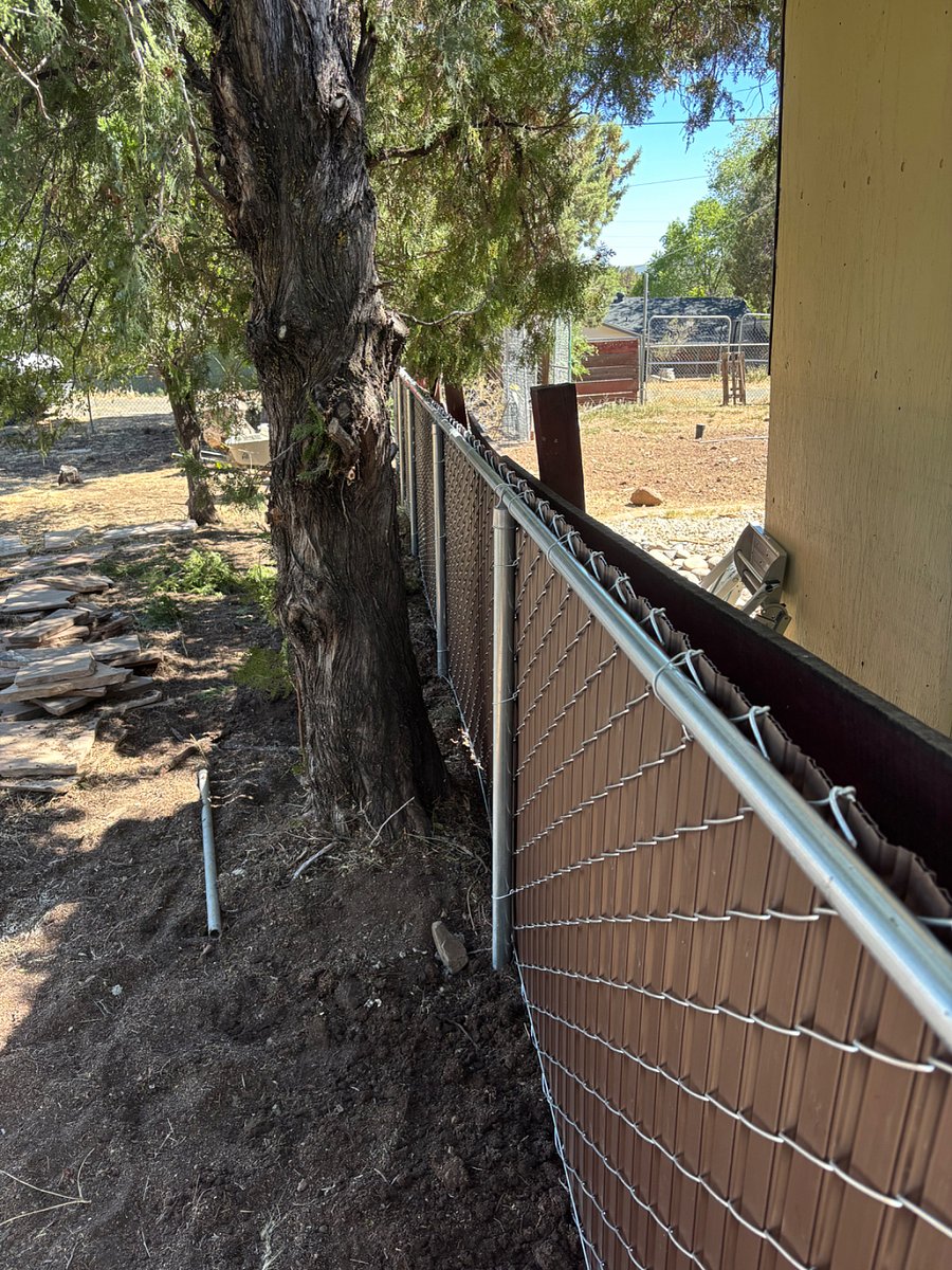 new fencing along side yard
