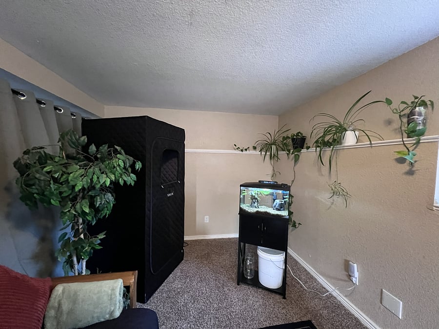Furnished Finder property 986669_1 photo 15