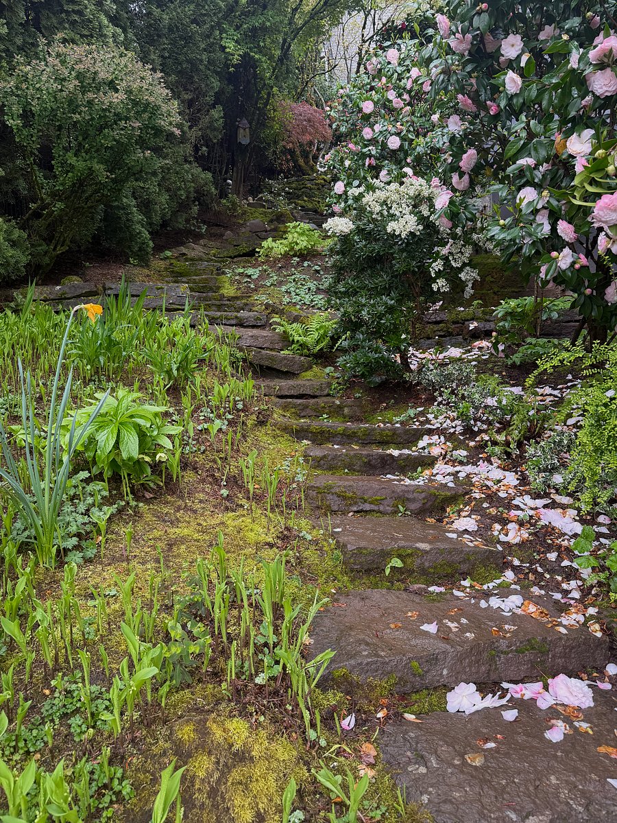One of the paths to the back area
